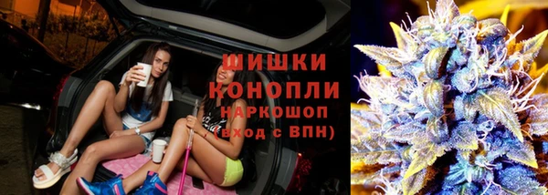 ГАЛЛЮЦИНОГЕННЫЕ ГРИБЫ Приозерск